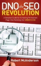 DNO the SEO Revolution Internet Strategies for business | Tampa Florida Marketing | Scoop.it
