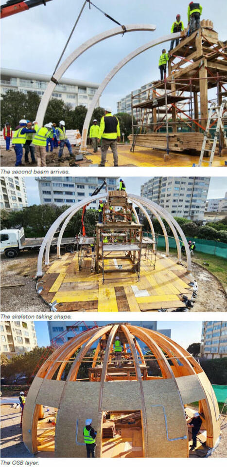 Indigenous People: Building a dome with extreme mass timber - Sawmilling in South Africa | Indigenous People, Colonialism & Slavery Raparations, ReColonisation 2013+ | Scoop.it