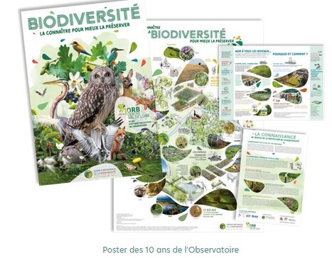 Observatoire régional de la biodiversité Centre Val de Loire | Biodiversité | Scoop.it