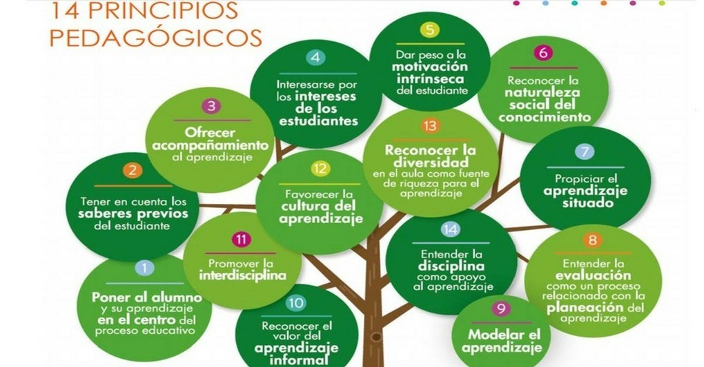 Los 14 principios pedagógicos que todo