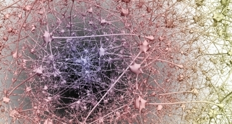 Gestion des données, certification des diplômes : la blockchain investit l'enseignement supérieur - Educpros | E-pedagogie, apprentissages en numérique | Scoop.it