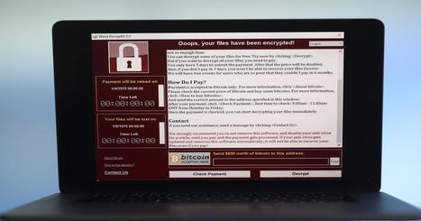 Information security experts tell you what to do after WannaCry and to protect your future | Daily Magazine | Scoop.it