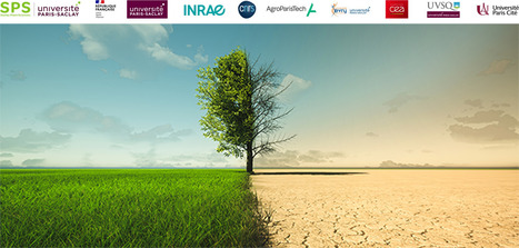 Les vidéos du workshop at the Institut Pascal - PLant science in the ANThropocene – PLANT | Life Sciences Université Paris-Saclay | Scoop.it