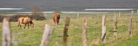 La Baie de Somme devient un parc naturel r&eacute;gional | Vers la transition des territoires ! | Scoop.it