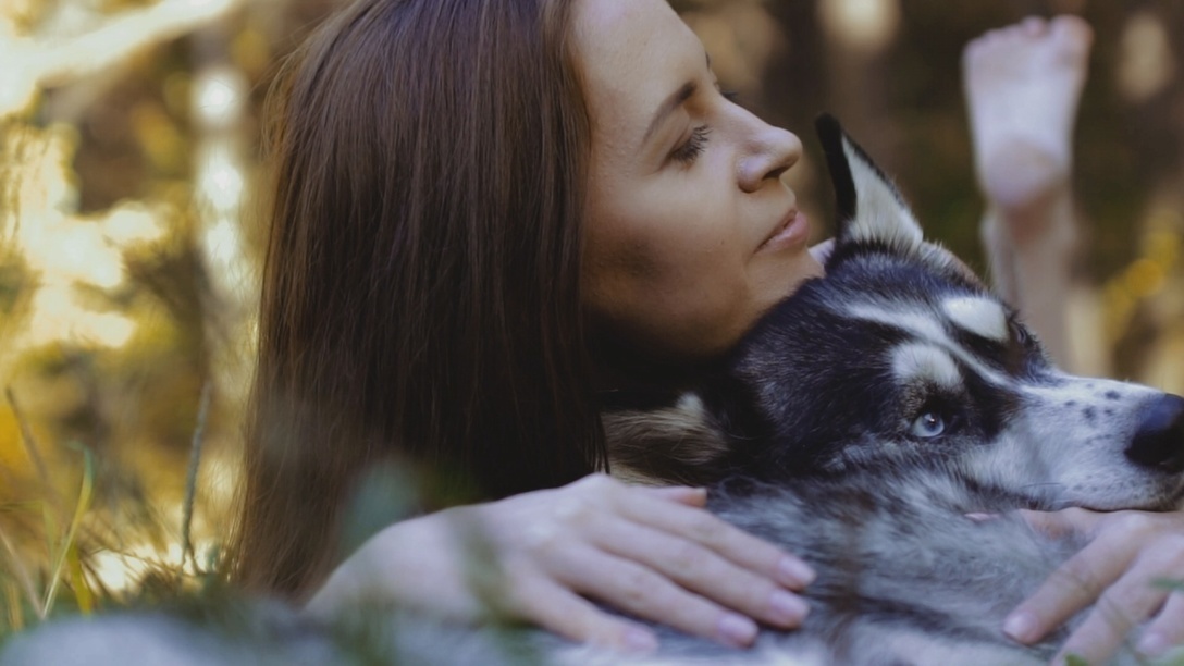 The Relationship Between Humans and Dogs &ndash...