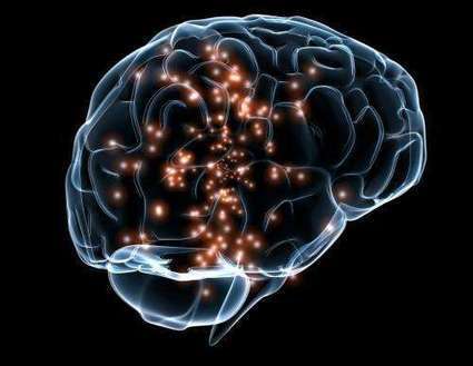 Study suggests human brain optimally weights information during learning | The Science of Learning | Scoop.it