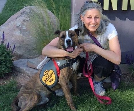 Pet Talk: Compassion fatigue an occupational hazard for veterinary professionals | Empathy and Animals | Scoop.it
