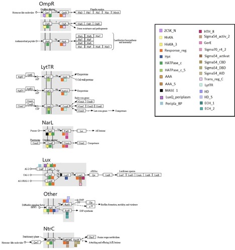 Evolution of two-component quorum sensing systems | RMH | Scoop.it