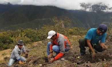 Utopia or reality: can South America lead a fossil-free future? | MOVUS  Movement for a Sustainable Uruguay | Scoop.it