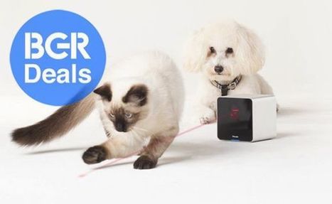 Yup, even your pet’s favorite toy is connected now (Boy Genius Report) | Internet of Things & Wearable Technology Insights | Scoop.it