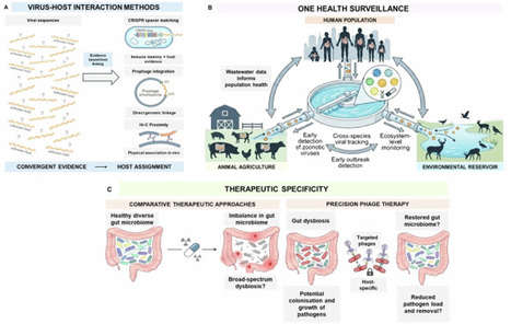 Gut virome-microbiome interactions across hosts and environments | npj | RMH | Scoop.it