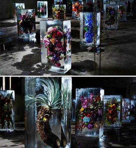 Iced Flowers by Azuma Makoto | Art Installations, Sculpture, Contemporary Art | Scoop.it