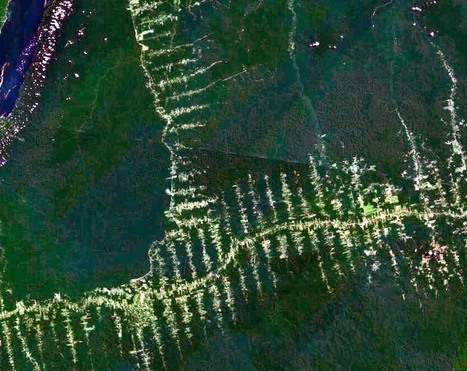 Google Timelapse : 30 ans d'évolution de la Terre en vidéo satellite - Futura Sciences | Télédétection veille IST INRAE & AgroParisTech | Scoop.it