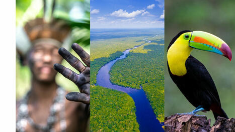 New report highlights the closing window of opportunity to protect important areas for people, climate, and biodiversity | Biodiversité | Scoop.it
