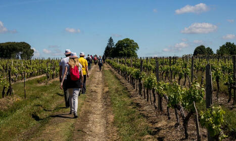 Tourisme : Une saison contrariée en Gironde | Bordeaux Métropole tertiaire et financière | Scoop.it