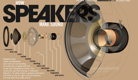 How speakers make sound - Animagraffs | tecno4 | Scoop.it