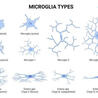 Immunology