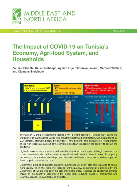 Tunisia: The impact of COVID-19 on economy, agri-food system, and households | CIHEAM Press Review | Scoop.it