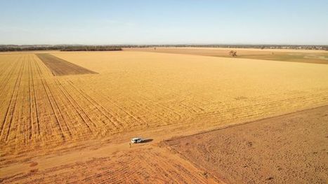 Farmers are still managing to harvest crops in drought. Here's how they're doing it - Politics - ABC News (Australian Broadcasting Corporation) | Stage 5 Sustainable Biomes | Scoop.it