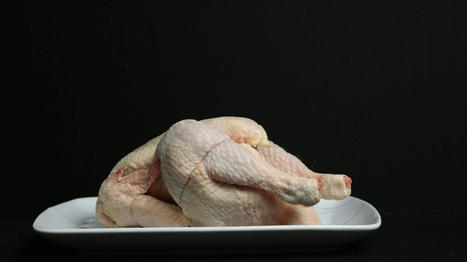 ALIMENTATION : un poulet sur deux acheté en France vient de l'étranger | ALIMENTATIONS | Scoop.it
