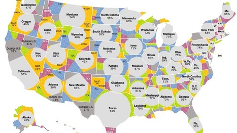 Les migrations au sein des Etats-Unis | Journalisme graphique | Scoop.it