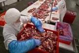 La Clau - L’abattage de chevaux reprend à Girona | La Gazette des abattoirs | Scoop.it