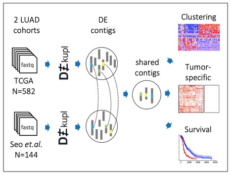 The contribution of uncharted RNA sequences to tumor identity in lung cancer | I2BC Paris-Saclay | Scoop.it