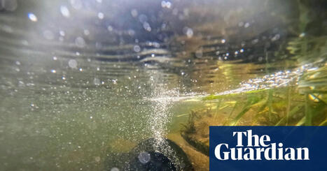 Millions of households face jump in water bills after regulator backs more price rises | Water industry | The Guardian | Microeconomics: IB Economics | Scoop.it
