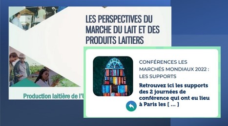 Idele - Conférences Les Marchés mondiaux 2022 : les supports | Lait de Normandie... et d'ailleurs | Scoop.it