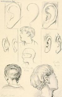 ear drawing in Drawing References and Resources