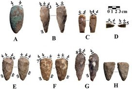 PLoS ONE: Form and Function of Early Neolithic Bifacial Stone Tools Reflects Changes in Land Use Practices during the Neolithization Process in the Levant | Archaeology Articles and Books | Scoop.it