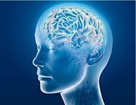 Trouver une problématique, formuler des hypothèses — Mémoire en éducation | Médecine  Cerveau Intelligence | Scoop.it