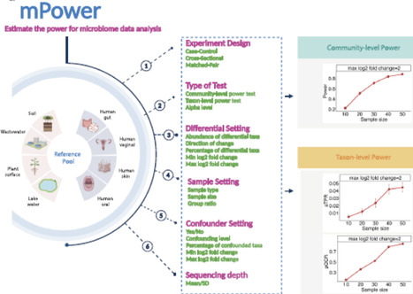 mPower: a real data-based power analysis tool for microbiome study design | Mbm | RMH | Scoop.it