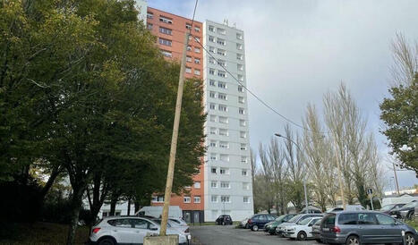 À Nantes-nord, des habitants toujours mobilisés pour défendre les arbres | L'actualité des quartiers politique de la ville de Bretagne et Pays de la Loire | Scoop.it