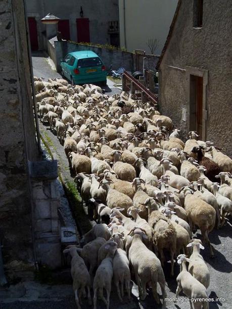 La vall&eacute;e dans les bouchons  | Facebook | Vall&eacute;es d'Aure & Louron - Pyr&eacute;n&eacute;es | Scoop.it