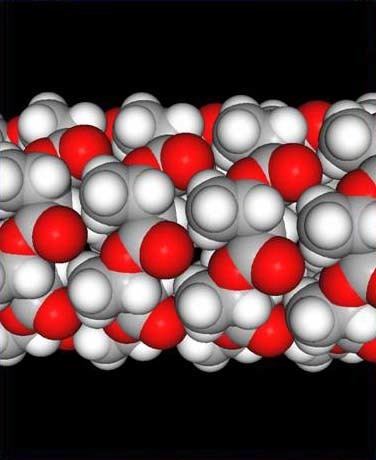 Production of P(3HB), Xylitol and Xylonic Acid by Burkholderia sacchari | iBB | Scoop.it