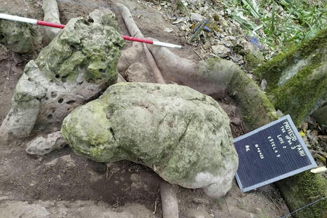 Au Guatemala, découverte des vestiges d’une cité maya de 2 800 ans | La Bibliothèque de l'École nationale des chartes-PSL vous accompagne dans la préparation aux concours | Scoop.it