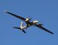 Akinci: How Baykar turned the UAV into an African and Middle Eastern export success&nbsp; | DEFENSE NEWS | Scoop.it