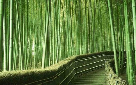 Arashiyama garden in Kyoto | 1001 Gardens | 1001 Gardens ideas ! | Scoop.it