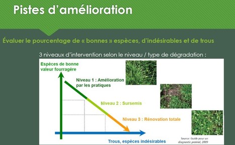 [Diaporama] Améliorer les prairies de longue durée | Lait de Normandie... et d'ailleurs | Scoop.it