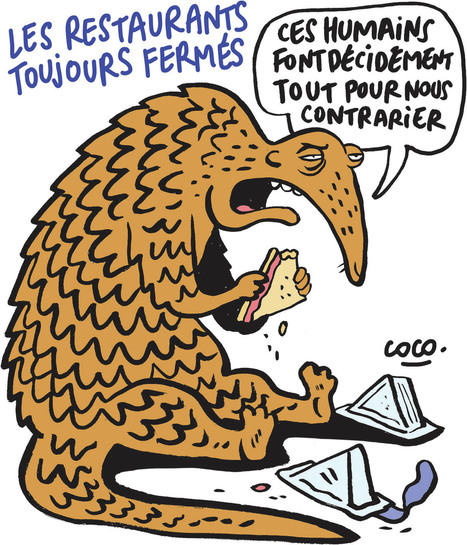 Covid-19 : l'« effet abattoir » | La Gazette des abattoirs | Scoop.it