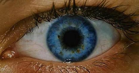 Scientists find woman who sees 99 million more colors than others | Science News | Scoop.it