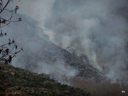 Un brûlage qui tourne mal entre Jézeau et Pailhac | Vallées d'Aure & Louron - Pyrénées | Scoop.it