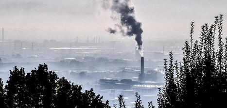 L’exposome : l’exposition d’une vie | EntomoScience | Scoop.it