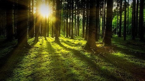 AstraZeneca aims to go carbon free by 2025—and it'll spend $1B to do it | Sustainable Procurement & CSR News - Pharmaceutical Industry | Scoop.it