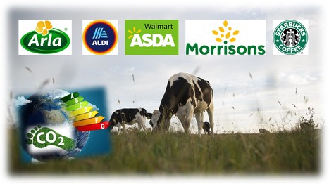 Arla UK : des accords commerciaux pour la durabilité des fermes laitières | Lait de Normandie... et d'ailleurs | Scoop.it