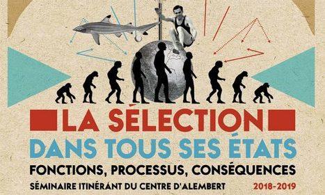 UPSud - Séminaire 2018-2019 du Centre d'Alembert : La sélection dans tous ses états : fonctions, processus, conséquences  | Infos Lab' avril 2025 | Scoop.it