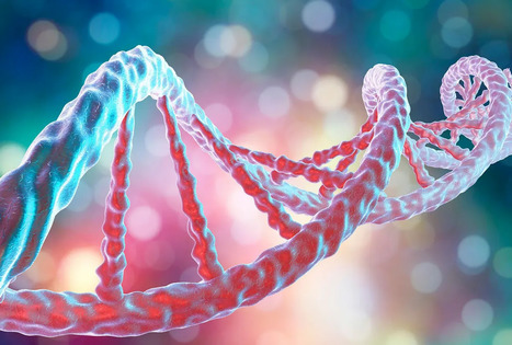 Humans Are 8% Virus  | dis.infected | Scoop.it