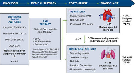 Quel est le rôle de Potts et de la transplantation dans l'HTAP ? | Life Sciences Université Paris-Saclay | Scoop.it