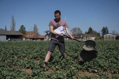 A Dijon, la ferme expérimentale qui anticipe un futur sans pesticides | Les Colocs du jardin | Scoop.it